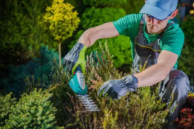 landscaping services Cawood